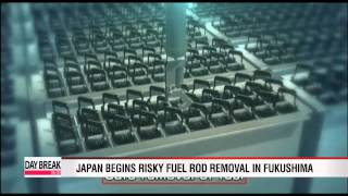 Japan begins risky fuel rod removal in Fukushima