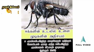 ஈ ஒரு அல்லாஹ்வின் அற்புதமானபடைப்பு|      #ஈபற்றிகுர்ஆன்கூறும்விஞ்ஞானம்