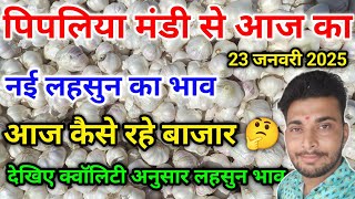 नई लहसुन का भाव आज का पिपलिया मंडी today new garlic arrival \u0026 price Pipliya Mandi