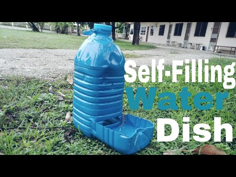 How to Make a Self-Filling Water Dish for Pets. ( diy automatic water bowl for your dog / cat) How to Make a Self-Filling Water Dish for Pets. ( diy automatic water bowl for your dog / cat)