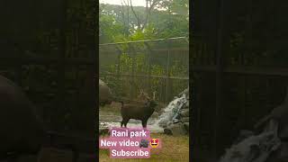 rani park 🥰subscribe