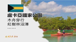 陽光天下行 巴哈馬 大巴哈馬島 盧卡亞國家公園 木舟穿行紅樹林沼澤