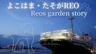 【横浜夜景】よこはま・たそがREO 〜Reos garden story 〜