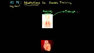 A2 PE - Adaptations to Aerobic Training Short