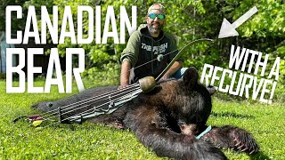 CANADIAN BEAR WITH A RECURVE | Traditional Archery & Bowhunting | The Push Archery