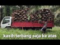 MEMUAT 12 TON BUAH SAWIT KE ATAS LORI DENGAN MUDAH.