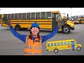 Handyman Hal learns about School Bus | School Bus for Kids