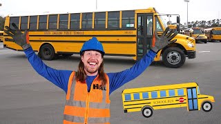 Handyman Hal learns about School Bus | School Bus for Kids