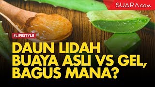 Daun Lidah Buaya Asli vs Produk Gel, Lebih Baik Mana?