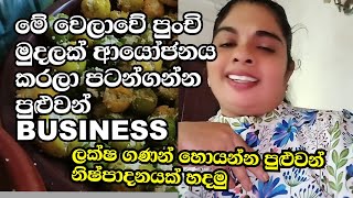 මේ වෙලාවේ පුංචි ආයෝජනයක් කරලා පටන්ගන්න පුළුවන් small business ලක්ෂ ගණන් හොයන්න පුළුවන් නිෂ්පාදනයක්