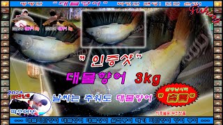 20241021 파주 삼방낚시터 오후 짬낚시 대물향어 3kg 입질, 챔질, 랜딩 \