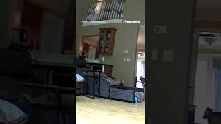 WATCH: Video captures dog spooked by meteor that exploded over Massachusetts #dog #shorts #dogs