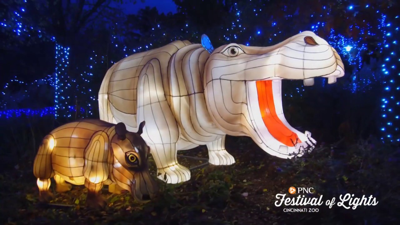 PNC Festival Of Lights And Happy Holidays - Cincinnati Zoo - YouTube