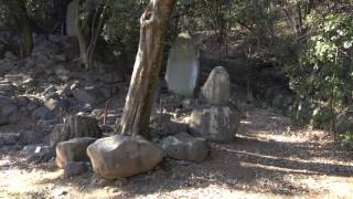 山梨岡神社　御室山