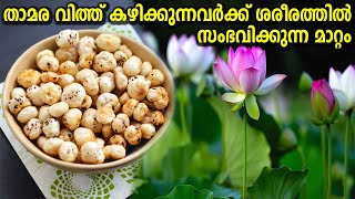 താമര വിത്ത് കഴിക്കുന്നതിന്റെ ഗുണങ്ങൾ | Health Benefits of Lotus Seeds You Should Know About