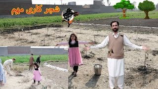 Planting Tree | Shajar Kari Muhim |@HafeezullahVlogs