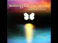 John Adorney - Always