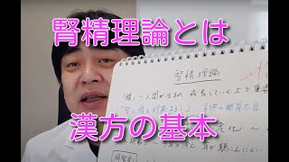 腎精理論とは？