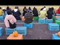 大沼ハロウィンナイト二日目 函館チームyosakoiソーラン演舞 2024.10.20