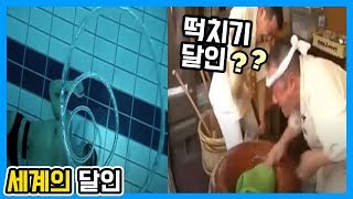 완전 신기한 세계의 여러 달인들