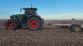 Cotton Field Prep