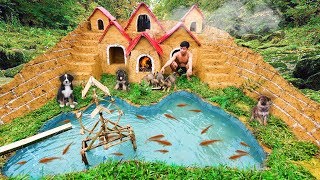 Rescue Abandoned Puppies Build Underground House For Dog And Fish Pond Around House Puppy