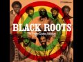 black roots move on