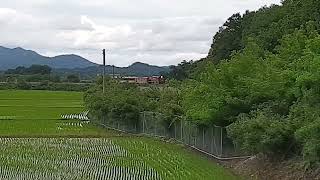 경북선, 농촌풍경과 더욱 어울리는 고추장디젤 무궁화호, korea railroad