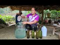 FULL VIDEO: Cooking Wine From Trees - Harvest Frogs, Gourds, Tomatoes, Crabs Goes to market sell