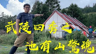 【武陵四秀 | 池有山】百岳上遇山難 喚不回的遺憾 / vlog＃01