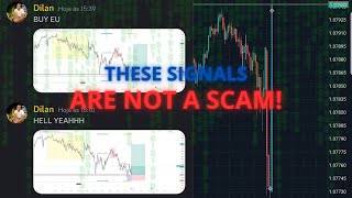 These Trading Signals WILL Turn You Profitable