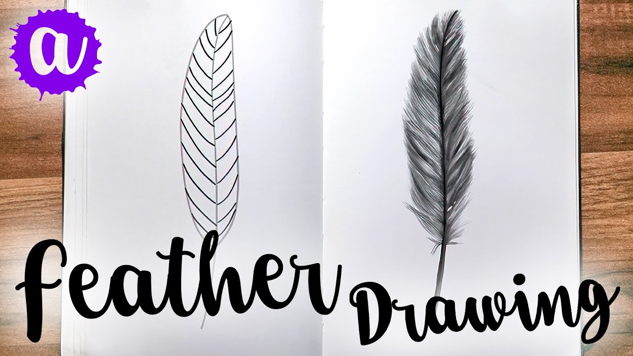 Easy Feather Drawing In 10 Steps Youtube