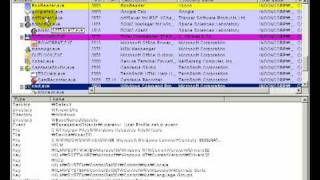 [Sysinternals] viewing process with procexp