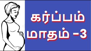 Pregnancy Third Month in Tamil | கர்ப்பம் மாதம் 3