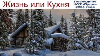 Жизнь и Кухня или КОТоБудни от 31.12.2024 г.