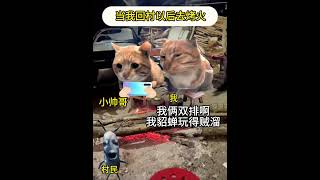 再不叫小姨，小姨可就要开黄腔了！ #猫meme #内容过于真实 #意想不到的结局 #看一遍笑一遍  #funny #迷恋 #cat  #萌宠 #貓 #cute  #萌寵 #pets #治癒小貓