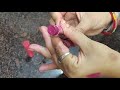 टूटी हुई लिपस्टिक फेकने से पहले ये वीडियो जरूर देखें make new lipstick with broken lipstick hacks