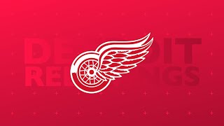 Detroit Red Wings 2024 Goal Horn