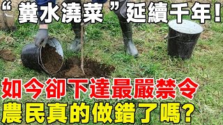 “糞水澆菜”延續千年！ 如今卻下達最嚴禁令，農民真的做錯了嗎？#科普 #科普頻道