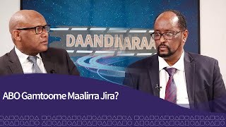 Daandii Haaraa |ABO Gamtoome Maalirra Jira? | Prime Media