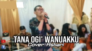 Anci Laricci' - Tana ogi' wanuakku (Cover Ashari)