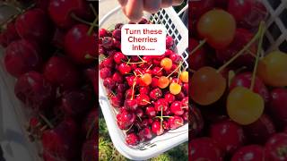 Got Cherries? 👉 make some Jam \u0026 sauce! 🍒 #youtubeshorts #summer #cooking #cherry #shorts