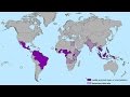 Will Zika virus spread to U.S.?