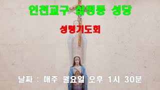 [인천교구 삼정동 성당 성령기도회 찬미\u0026진행] 2024.1.29 #인천교구삼정동성당#삼정동성당성령기도회#삼정동성령기도회#성령#찬미#성령기도회#이마르티노찬양선교방송