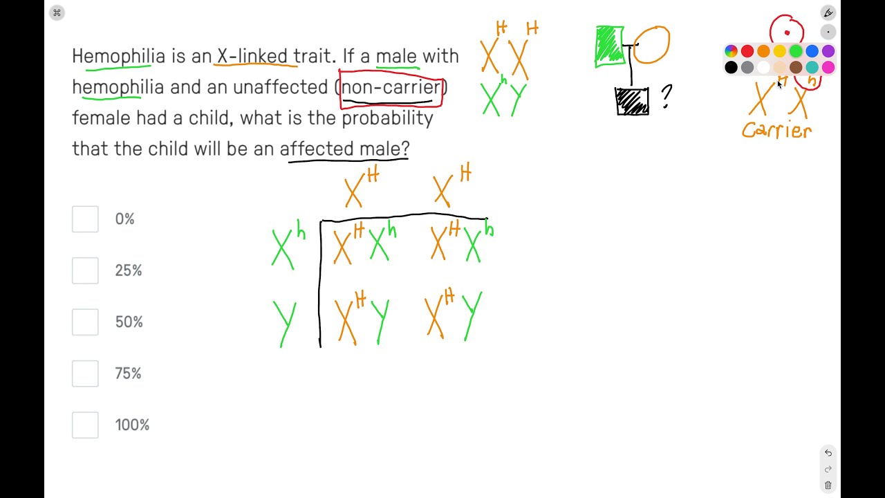 X-linked Inheritance And Hemophilia (Punnett Square) - YouTube