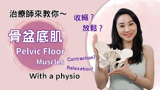 治療師來教你！骨盆底肌是什麼？五個方法收縮與放鬆 | Learn contract \u0026 relax the pelvic floor muscles with a Physio ❤︎ Suzanne