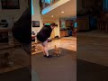 Carmen the Buff Orpington Pet Chicken Doing Tricks!