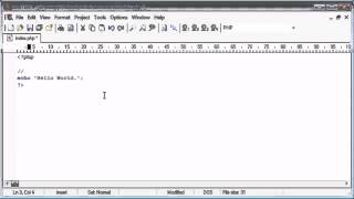 Beginner PHP Tutorial - Lesson №13 - comments