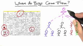 Team Structure Solution - Software Debugging