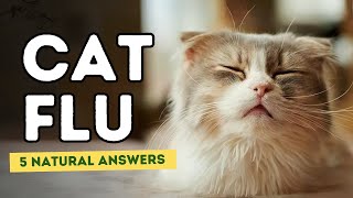 Cat Flu: 5 Natural Answers